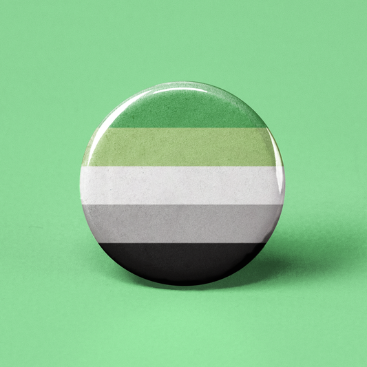 Aromantic Flag Pinback Button